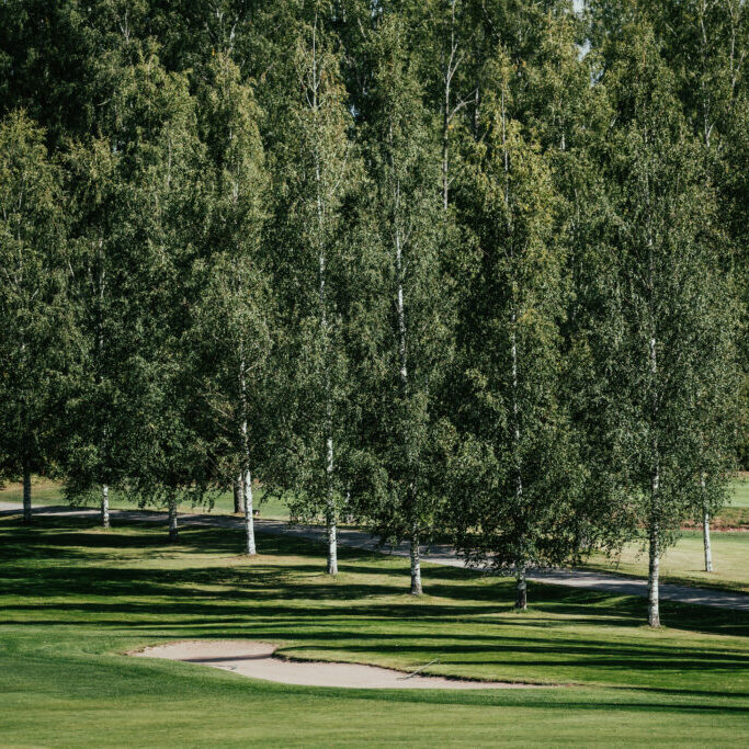 tawastgolf-4